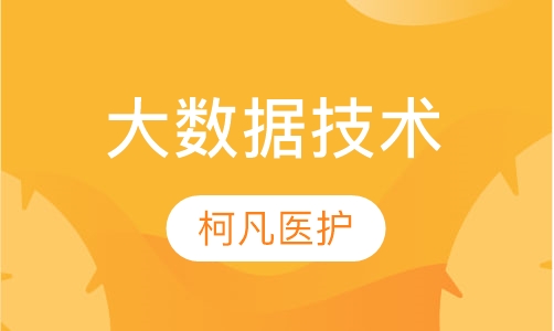 大数据技术