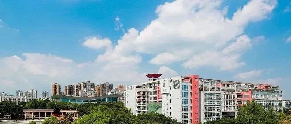 西南政法大学丨 2025年成考招生专业